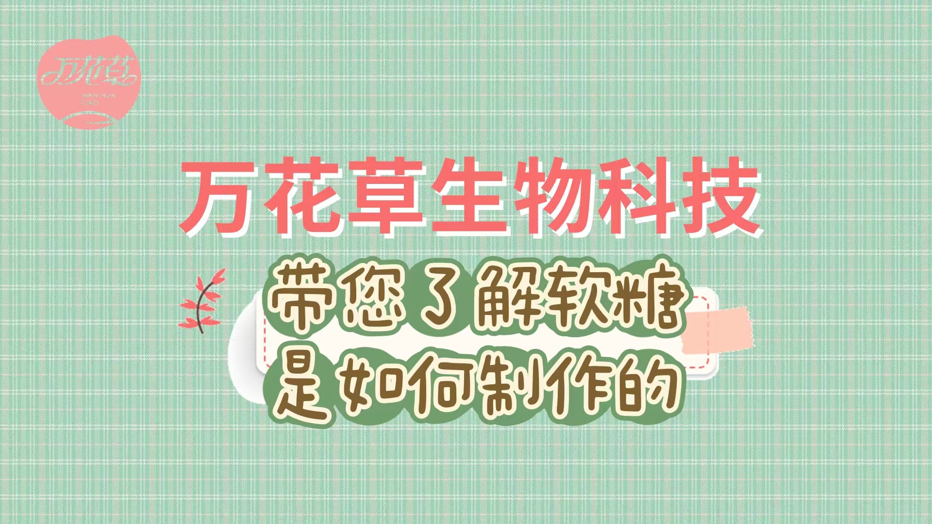 軟糖代加工生產(chǎn)工藝流程，帶您了解糖果是如何制作的