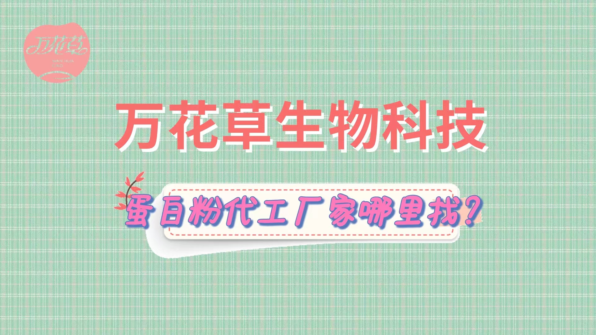 蛋白粉代加工，怎么找專業(yè)源頭廠家？